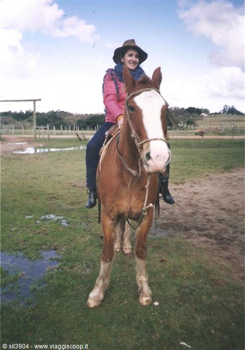 Woman in hat and pink jacket riding a bay horse in the countryside