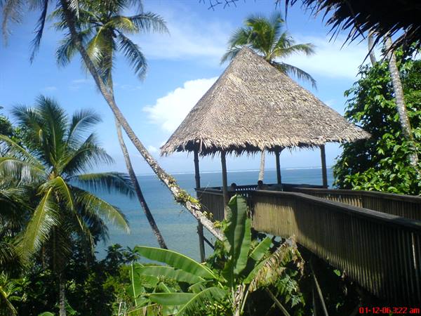 Thatched-roof hut on wooden walkway among palm trees and sea