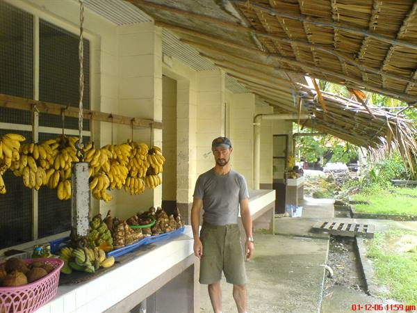 Man next to banana bunches hanging under a thatched palm roof