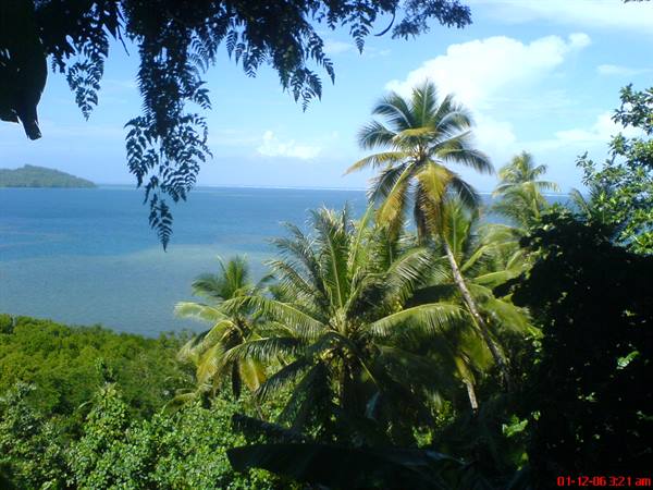 Tropical palms over a blue bay, distant islands, bright sunlight