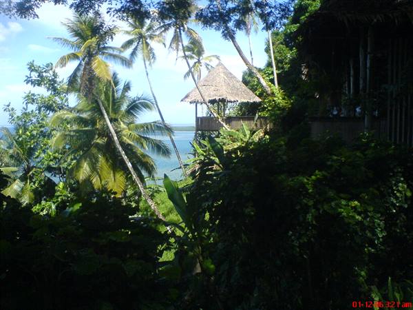 Thatched-roof bungalow among palm trees overlooking a tropical bay