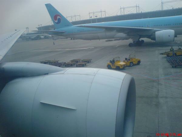 Airplane engine and wing in foreground, Korean Air Boeing parked at airport