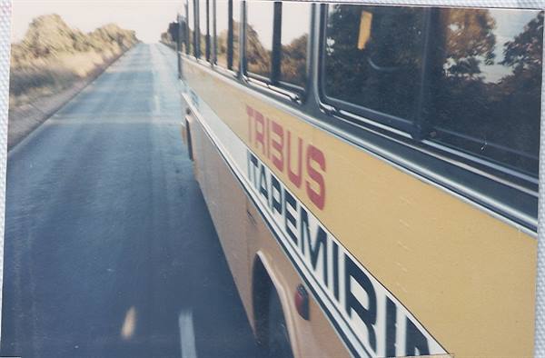 Yellow Tribus Ademir bus driving along a sunny country road