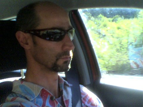 Man in sunglasses driving a car, seatbelt on, green trees outside