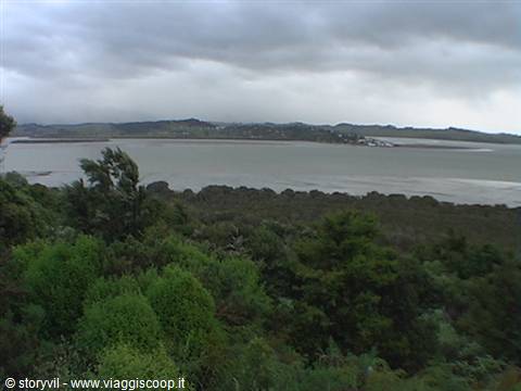 Grey bay under leaden clouds, green scrub in the foreground