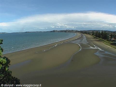 hauraki gulf