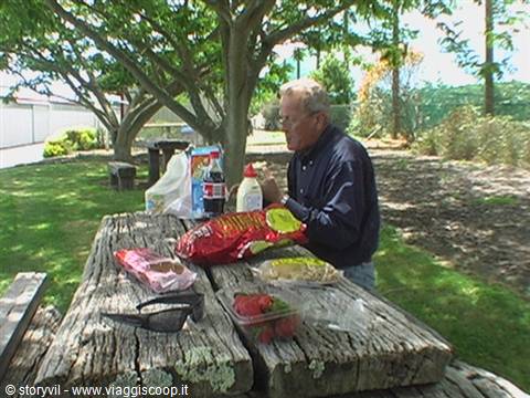 Man preparing snacks on weathered wooden picnic table in a tree-lined park