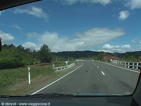 Road with white bridge railings seen through the car window