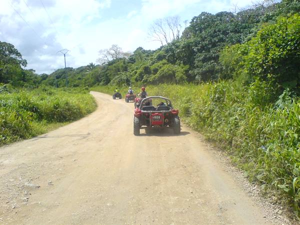 Red buggies on dirt road through tropical greenery, tourists on excursion
