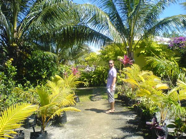 Tourist among potted palms and tropical flowers in a sunny garden