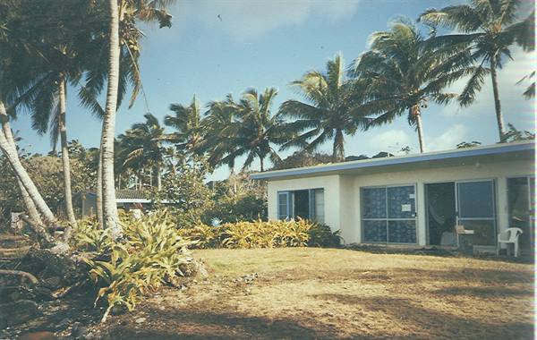 White house with blue shutters among palm trees, sunny garden