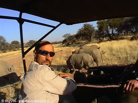 Tourist in sunglasses on safari jeep beside two rhinos in savanna grassland