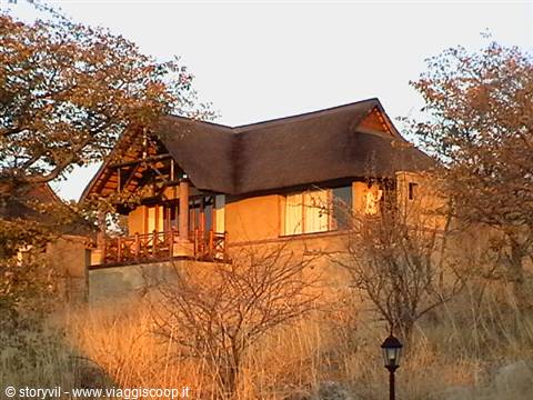 Thatched-roof lodge among dry trees in warm golden morning light