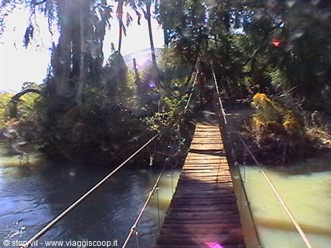 Wooden rope suspension bridge over green river among palm trees