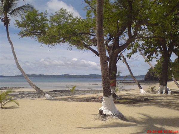 Pale sand beach with whitewashed palm trunks, low tide sea and distant islands
