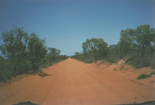 Red dirt road between low trees under blue sky