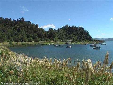 White boats moored on emerald water, forested hills and tall pampas grass swaying in the wind
