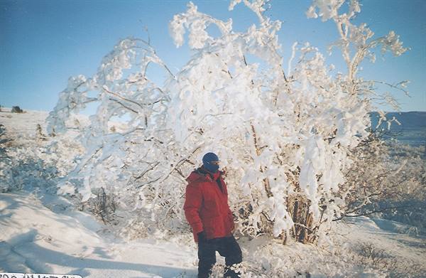 Person in red jacket beside frost-covered trees under a blue sky