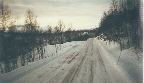 Snow-covered road with tire tracks between bare trees and distant mountains