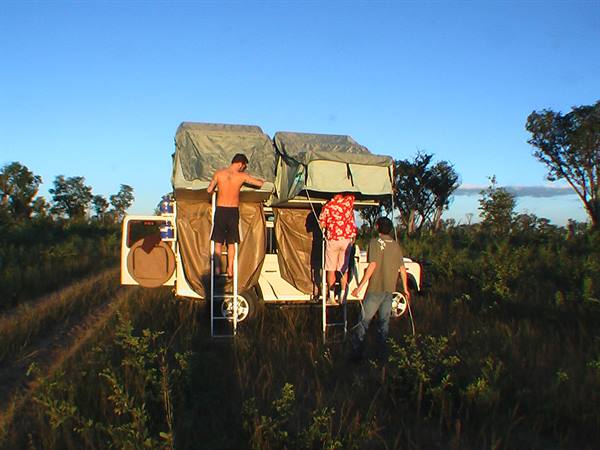 Travelers setting up rooftop tents on a 4x4 among tall grass and trees