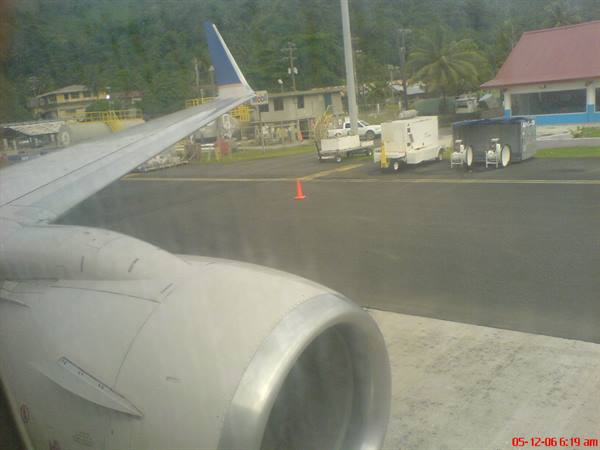 Airplane engine and wing parked on tarmac, luggage carts and palm trees nearby