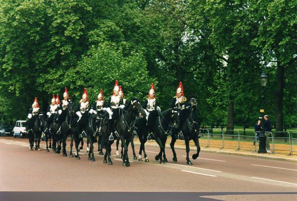 Mounted guards in red helmets ride in formation along a tree-lined London street
