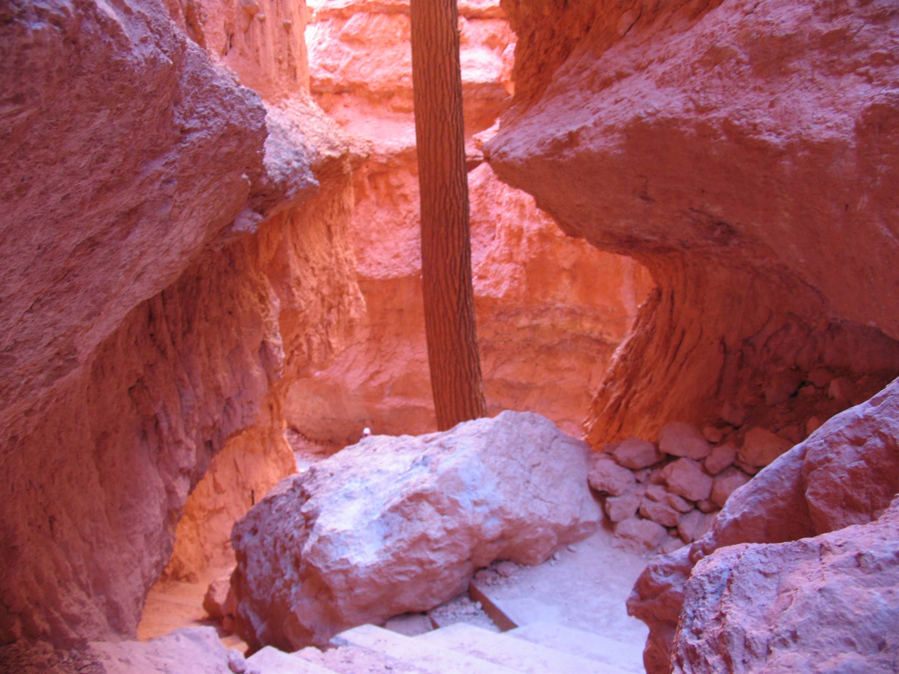 Bryce Park