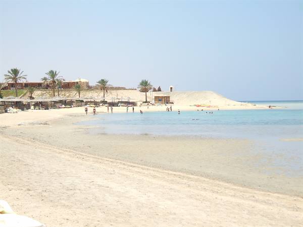 Light sandy beach with umbrellas and palms, people in turquoise water