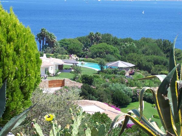 White villa with pool overlooking the blue sea among pines, palms and agaves, Costa Smeralda