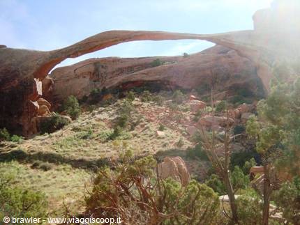 Landscape Arch, huge sandstone arch towering over desert shrubs in Arches