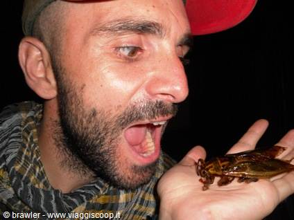Man in red cap pretends to eat a locust on his hand
