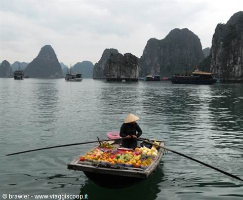 Woman in conical hat selling fruit from boat, Ha Long Bay