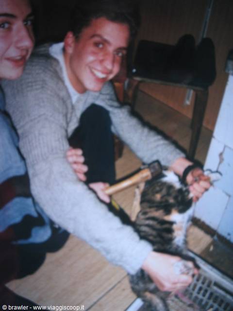 Two smiling young men petting a tabby cat indoors