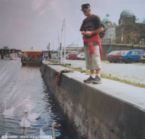 Boy with cap watching swans from the Vltava embankment in Prague