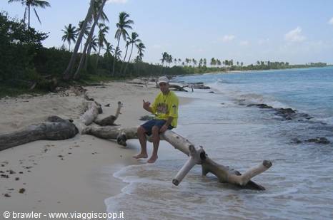 Man in yellow shirt and hat sitting on a driftwood log, palm-fringed beach