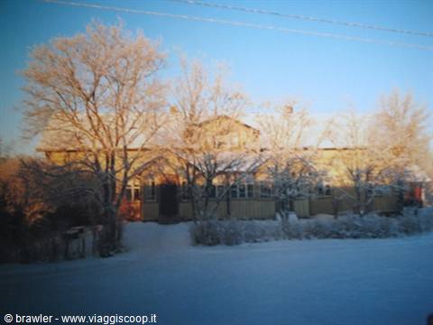 Yellow wooden house in snow among frosted trees, cold morning light