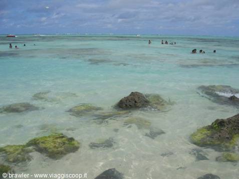 Swimmers in shallow turquoise water with rocks covered in green algae