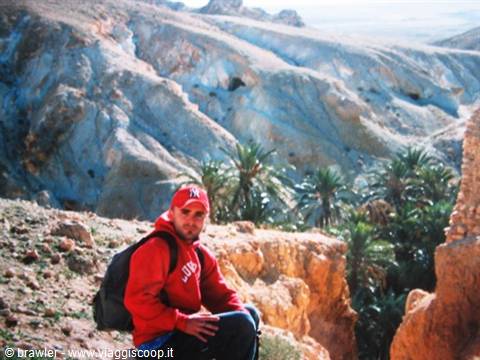 Man in red hoodie and backpack sitting on rock, palm trees and arid mountains behind