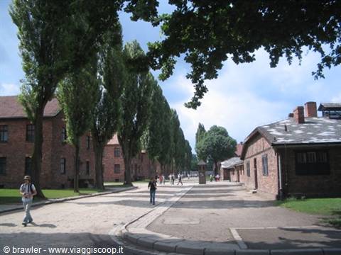 Auschwitz red brick barracks, visitors walk along the tree-lined path