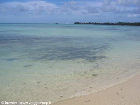 Clear turquoise water over pale sand, beach with trees in the background