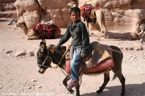 Boy riding a donkey among camels and red rocks in Petra