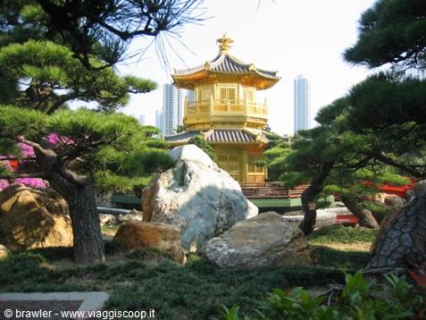 Golden pavilion in Nan Lian Garden, Hong Kong, among pines and rocks