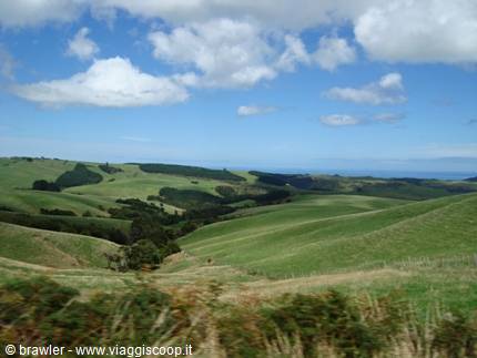 Green grassy hills under white clouds, scattered trees, blue sky, shot from a bus