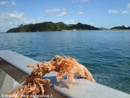 Frayed orange rope end on metal railing, green island across blue sea