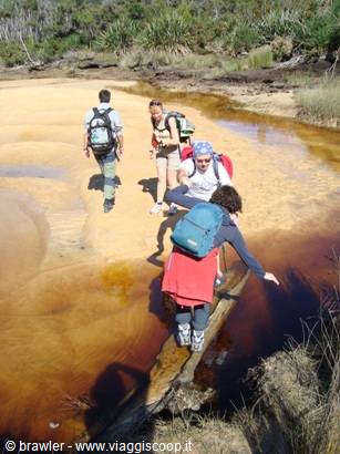 Hikers crossing a log over an ochre stream between bushes and sand