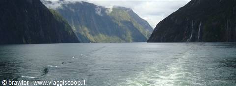 Boat wake on the waters of Milford Sound between steep mountains
