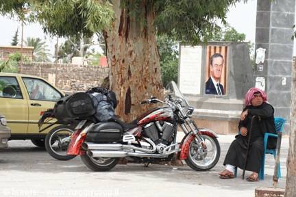 Man sitting beside red touring motorcycle parked under a large tree