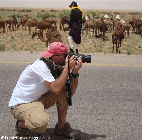 Kneeling tourist photographer with telephoto lens, herder with dromedary herd on asphalt road