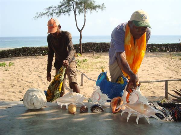 Two men sell large seashells on a stone table in front of the beach