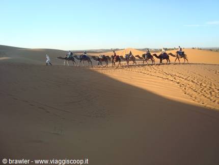 Camel caravan carrying tourists across the sandy dunes of the Sahara, Merzouga